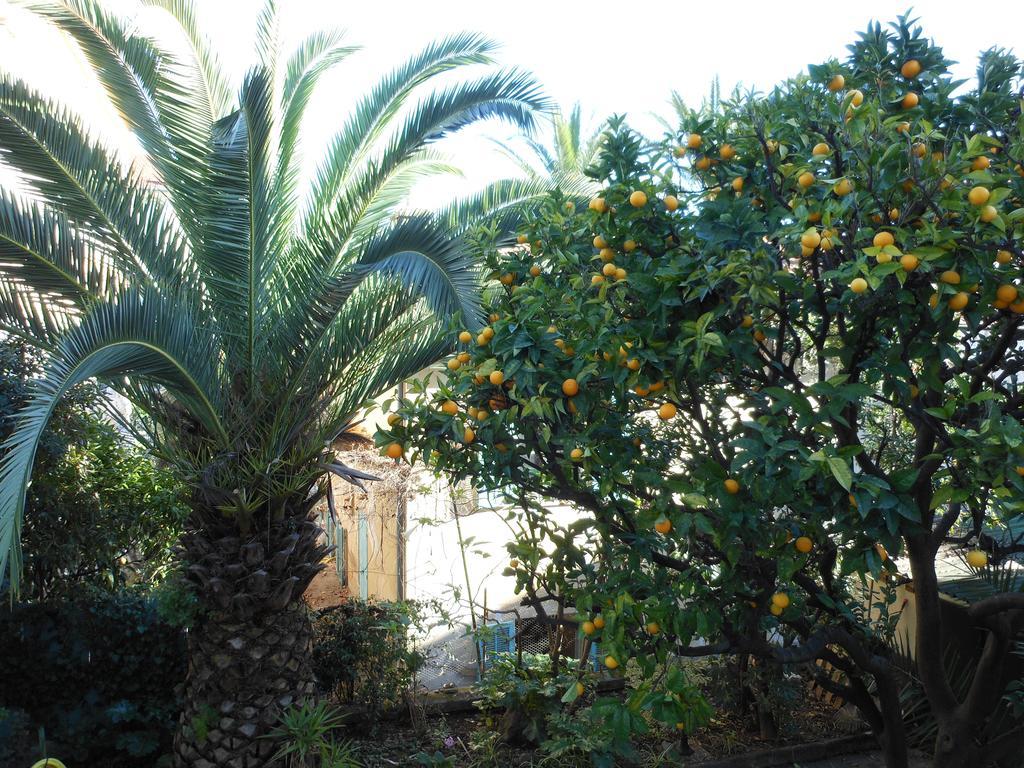 ניס Hotel Villa Les Cygnes מראה חיצוני תמונה